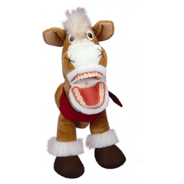 Putzi Buddy - Cavalo Jimmy Putzi Buddy - Cavalo Jimmy