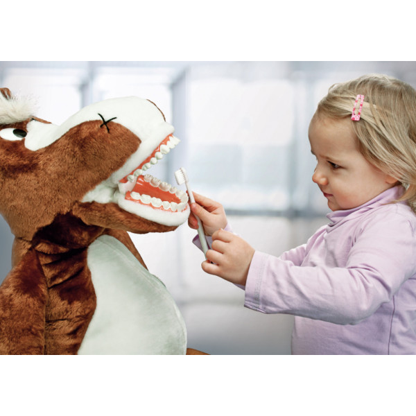 Putzi Buddy - Cavalo Jimmy Putzi Buddy - Cavalo Jimmy