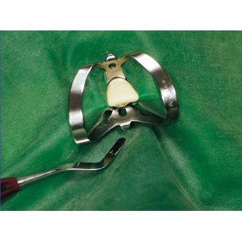 Fit - Rubber Dam - Latex