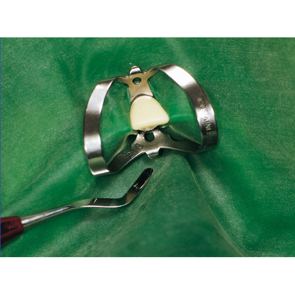 Fit - Rubber Dam - Latex