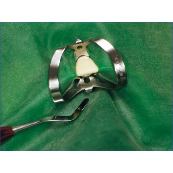 Fit - Rubber Dam Latex Heavy