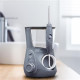 Waterpik Aquarius Professional WP-667 Cinza